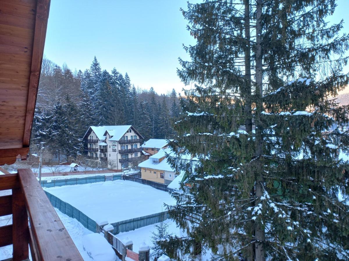 Kalinderu Luxury Ski Loft Busteni Exterior photo
