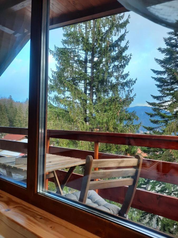 Kalinderu Luxury Ski Loft Busteni Exterior photo